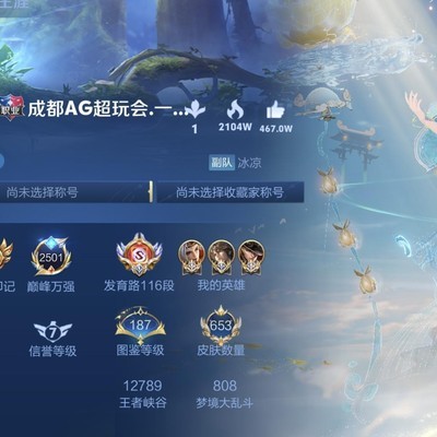 一诺巅峰赛突破2500分