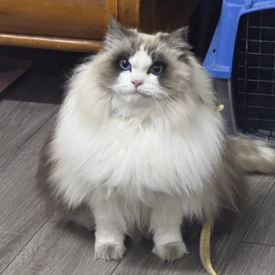 感情分手，三年半的不舍