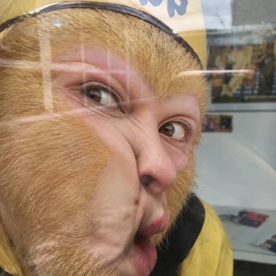 悟空耍宝猴式鬼脸