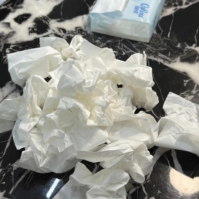 张翅刘念短剧催泪神作