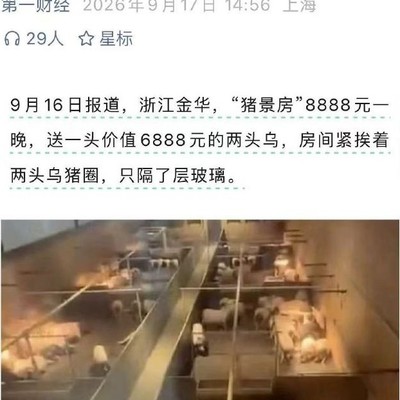 猪景房8888元一晚引热议