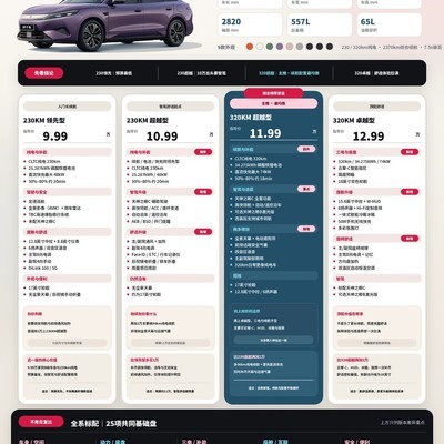 比亚迪秦MAX DM-i四版选购指南