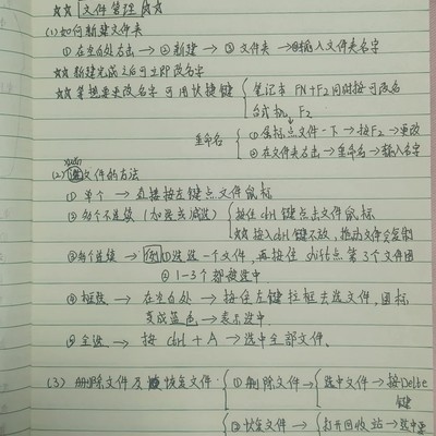零基础学电脑，文件管理