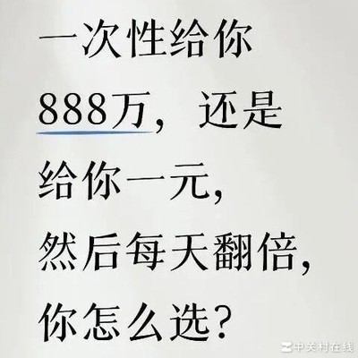 磁吸手机壳，你如何选择？