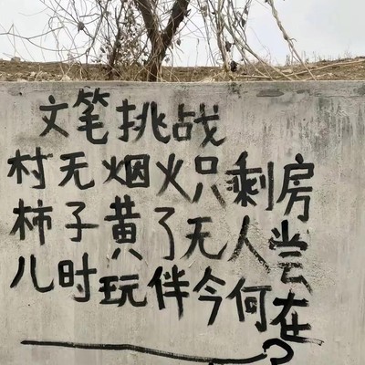 村头小诗等续篇