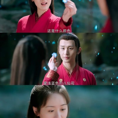 璇玑钟情蓝色的真相