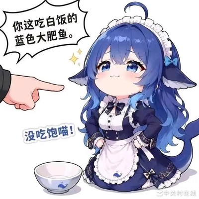 双十一上代旗舰降价吗