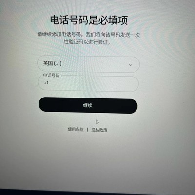 Codex电话号码填写问题