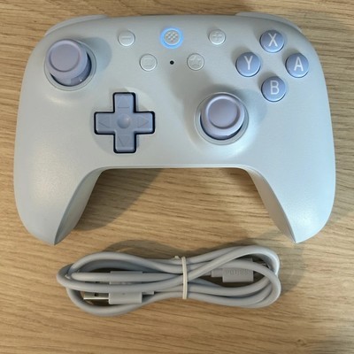 Steam中启用Switch手柄支持