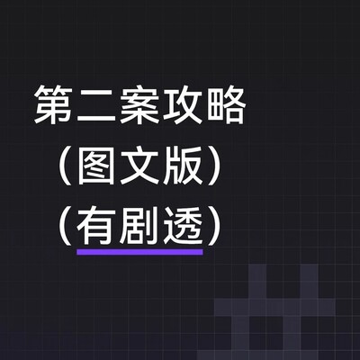 第二案作案手法详解