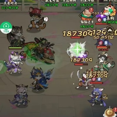 猫狩纪特权玩家招募