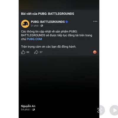 越南赛区退出PUBG赛事