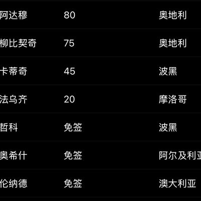 沙尔克1年签10国脚引热议