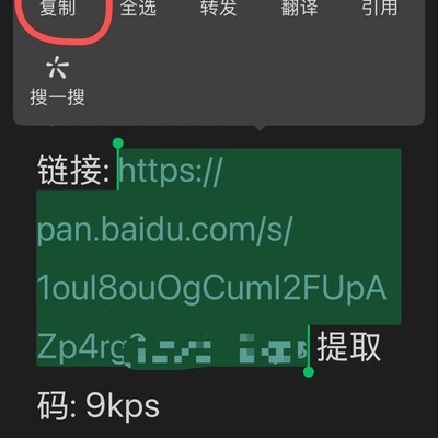 百度网盘链接提取步骤