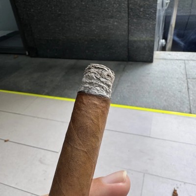 晨茄体验，梦9与梦10对比