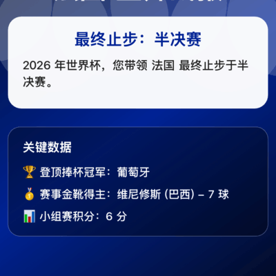 法国世界杯半决赛执教战报
