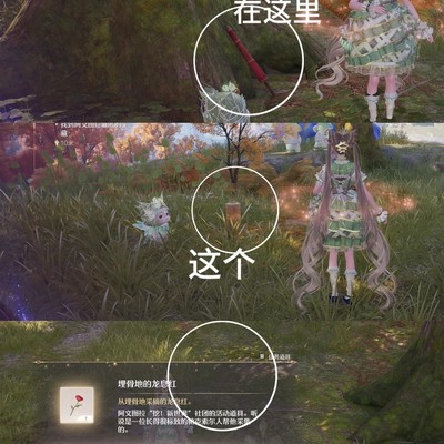 奇针点位道具获取指南
