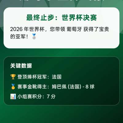 罗哥执教葡萄牙世界杯决赛