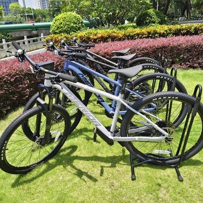 挑战者300全配色实拍
