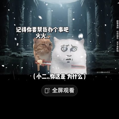 火火背刺小二真相