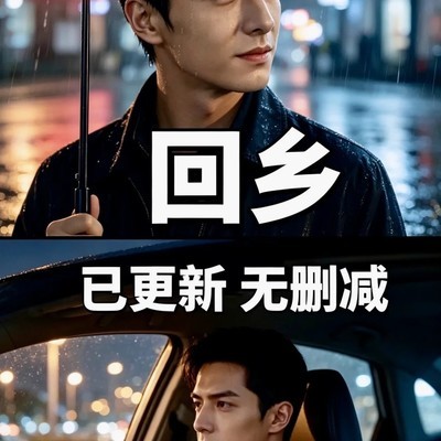 回乡更新至34集