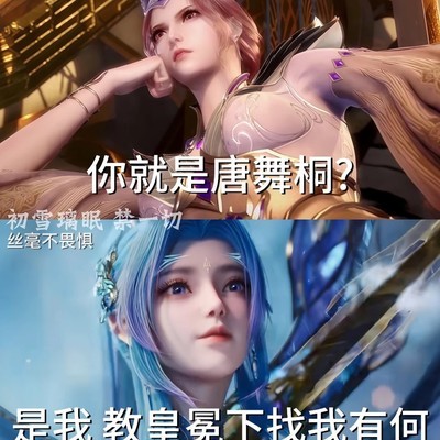 神女穿越共护斗罗魂