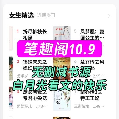 小说妹的救赎指南