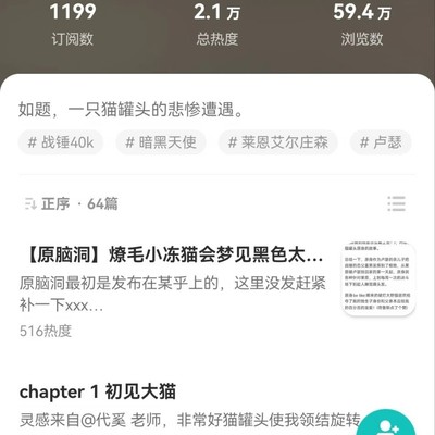 小冻猫，骑士精神的温柔坚守