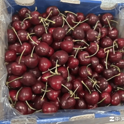 车厘子批发价暴跌引热议
