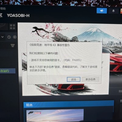 地平线6问题全记录