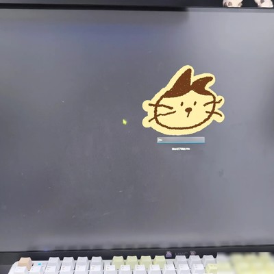 WIN11黑屏问题解决方法
