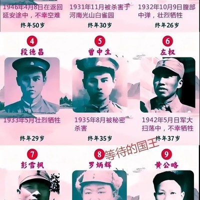 英年殉国的将星