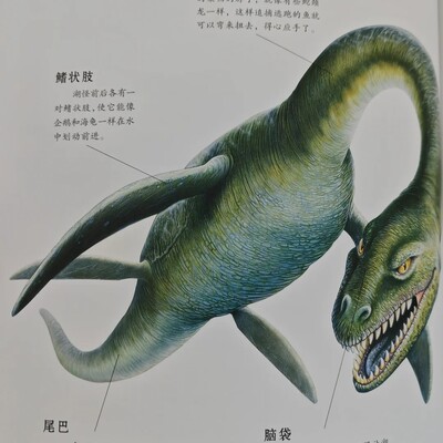世界著名水怪传说