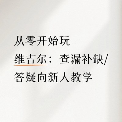 维吉尔新手入门指南
