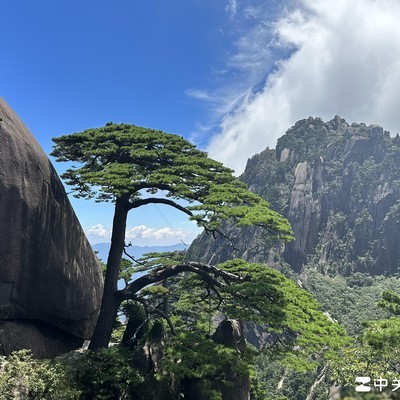 初赴上海执教篮球