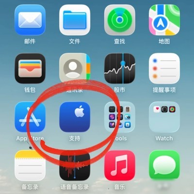 iPhone自带网速测试方法