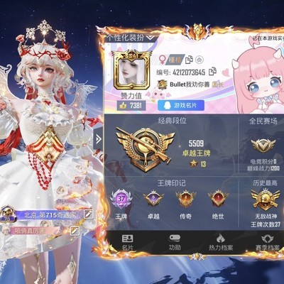 寻找超体吃鸡王者固搭