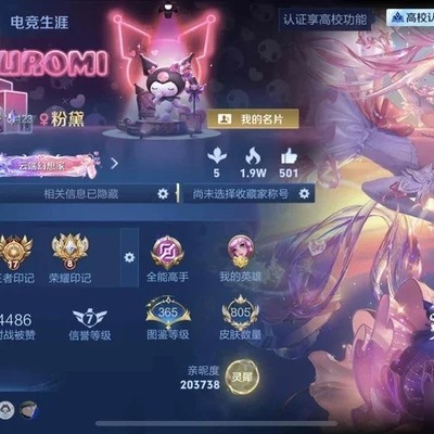 低场次高图鉴全皮肤灵宝