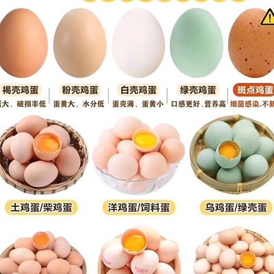 一图分清各类鸡蛋