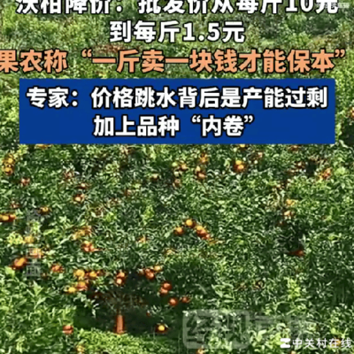 沃柑价格下跌引热议