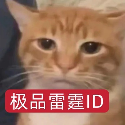 网络人设大乱炖