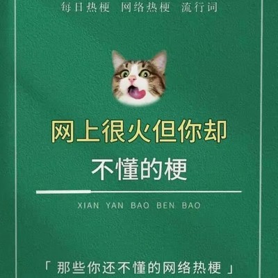 网络流行梗解析