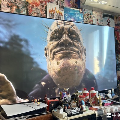 西游记谛听为何不揭真假美猴王