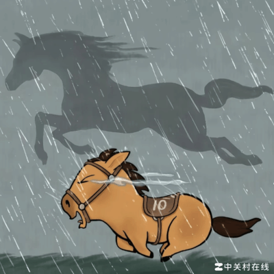 人生感悟分享