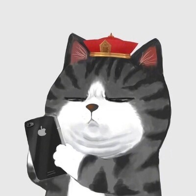 观感，社会生活缩影