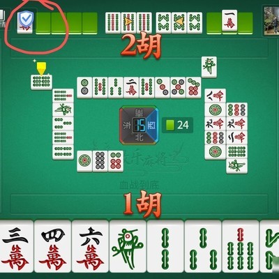 微乐麻将对家胡牌显示异常