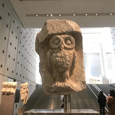 雅典娜的猫头鹰，智慧之象征