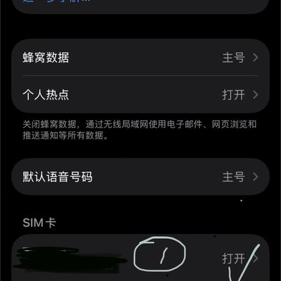 苹果双卡5G与4G设置技巧