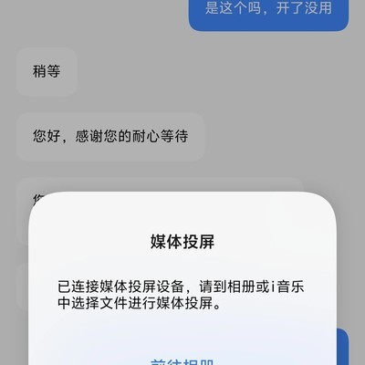 vivo X200 Pro投屏功能限制问题