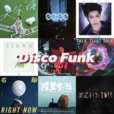 华语Disco Funk精选
